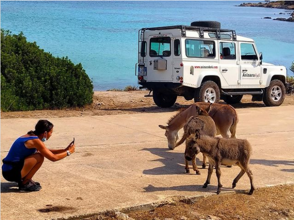 Escursione nel Parco nazionale dell'Asinara